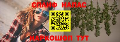 спиды Донской