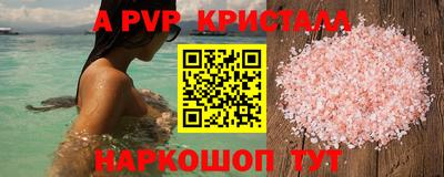 спиды Донской
