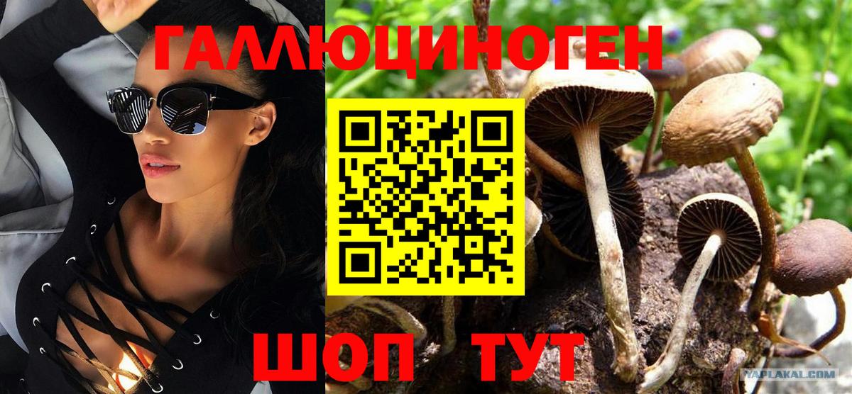 Псилоцибиновые грибы Cubensis  Галлюциногенные грибы Magic Shrooms  Вход с VPN  Кувандык 